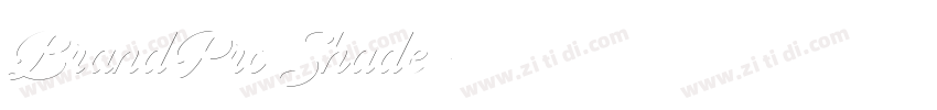 BrandPro Shade字体转换